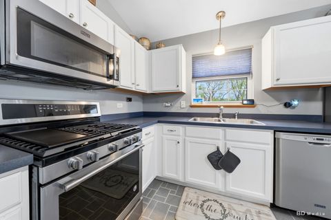 Tiny photo for 25606 S Jonquil Lane, Monee, IL 60449 (MLS # 12631800)
