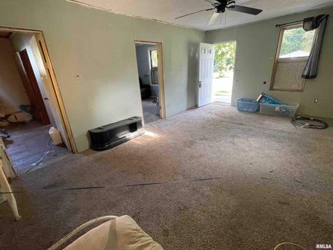 Tiny photo for 502 E MATTHEW Street, Sesser, IL 62884 (MLS # EB458499)