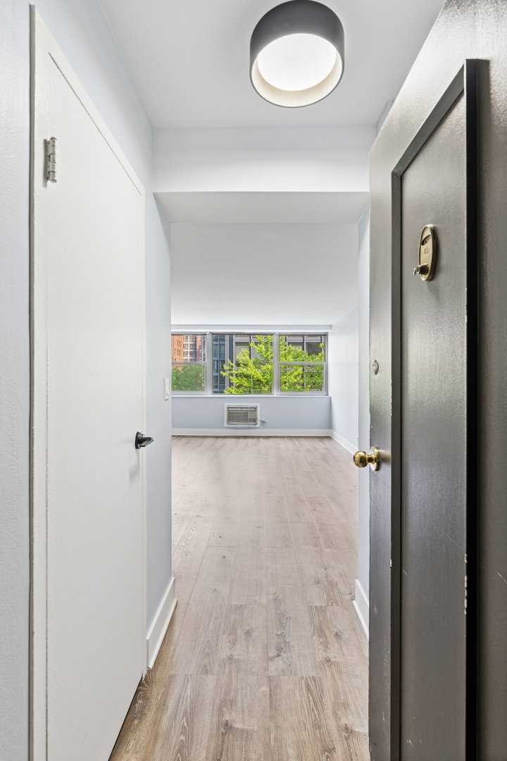 253 E DELAWARE Place 4D