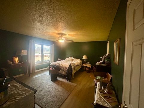 Tiny photo for 6 Carriage Lane, Metropolis, IL 62960 (MLS # 12549619)