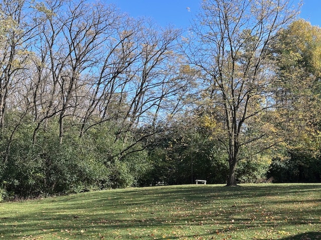 335 Countryside Court