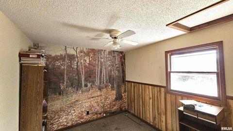 Tiny photo for 518 Fife Street, Carrier Mills, IL 62917 (MLS # EB459520)