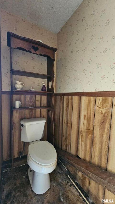 Tiny photo for 518 Fife Street, Carrier Mills, IL 62917 (MLS # EB459520)