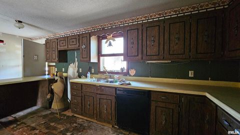 Tiny photo for 518 Fife Street, Carrier Mills, IL 62917 (MLS # EB459520)