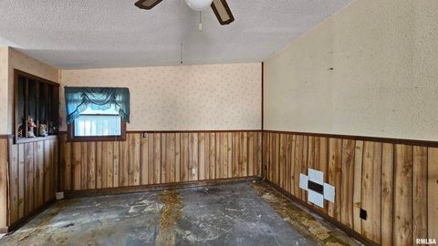 Tiny photo for 518 Fife Street, Carrier Mills, IL 62917 (MLS # EB459520)