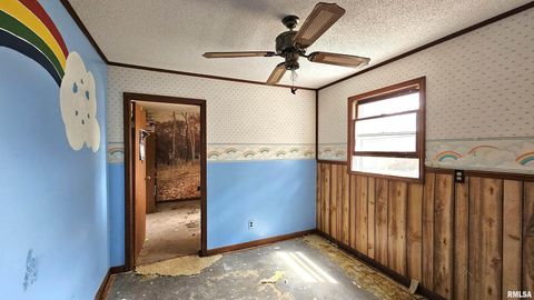 Tiny photo for 518 Fife Street, Carrier Mills, IL 62917 (MLS # EB459520)