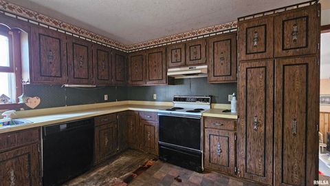 Tiny photo for 518 Fife Street, Carrier Mills, IL 62917 (MLS # EB459520)