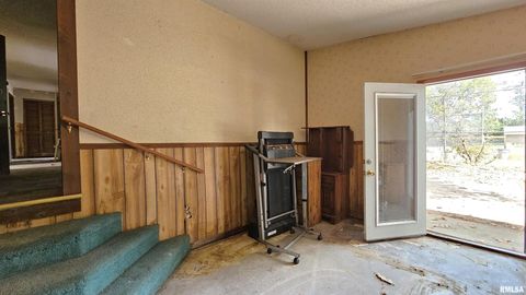 Tiny photo for 518 Fife Street, Carrier Mills, IL 62917 (MLS # EB459520)