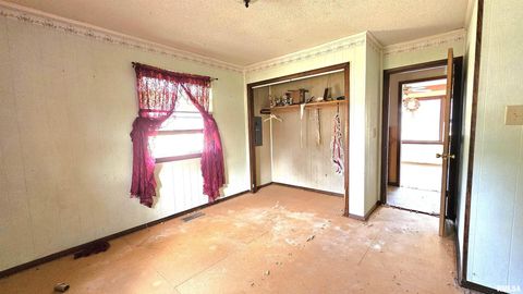 Tiny photo for 518 Fife Street, Carrier Mills, IL 62917 (MLS # EB459520)