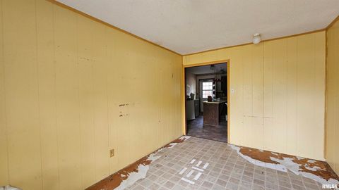 Tiny photo for 518 Fife Street, Carrier Mills, IL 62917 (MLS # EB459520)