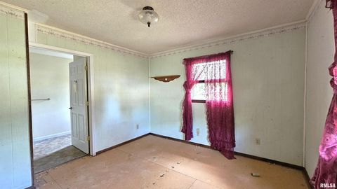 Tiny photo for 518 Fife Street, Carrier Mills, IL 62917 (MLS # EB459520)