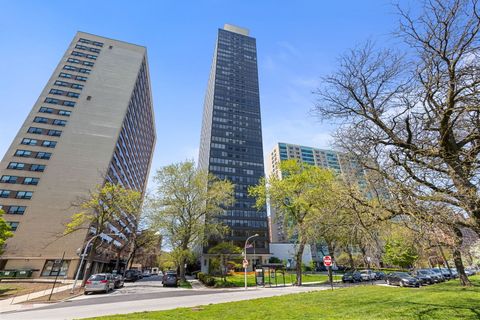 3150 N Lake Shore Drive 30C Chicago IL 60657
