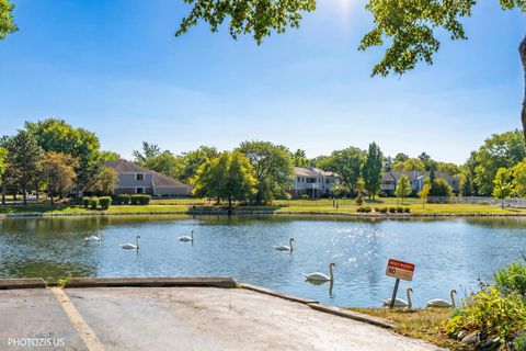 Tiny photo for 1251 ROSEWOOD Court #B2, Schaumburg, IL 60193 (MLS # 12574390)