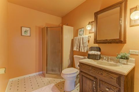 Tiny photo for 10540 S Sun Valley Court, Palos Hills, IL 60465 (MLS # 12504158)