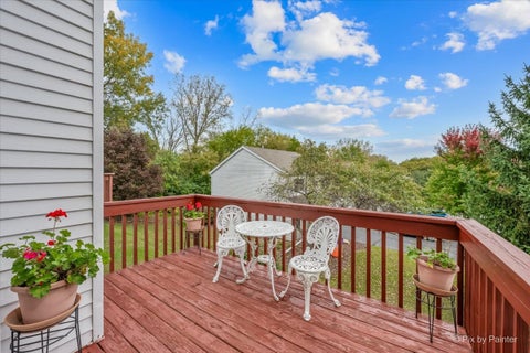 Tiny photo for 156 Spring N Court, Carpentersville, IL 60110 (MLS # 12781128)