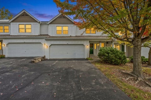 Photo of 156 Spring N Court, Carpentersville, IL 60110 (MLS # 12781128)
