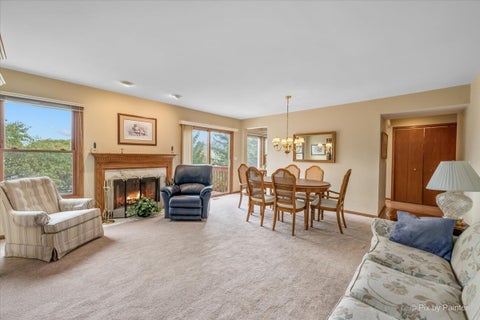 Tiny photo for 156 Spring N Court, Carpentersville, IL 60110 (MLS # 12781128)