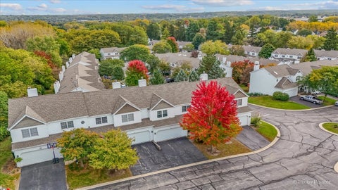 Tiny photo for 156 Spring N Court, Carpentersville, IL 60110 (MLS # 12781128)