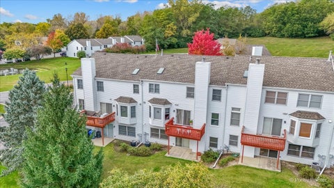 Tiny photo for 156 Spring N Court, Carpentersville, IL 60110 (MLS # 12781128)