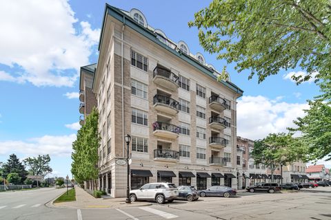 50 N Plum Grove Road 502E Palatine IL 60067