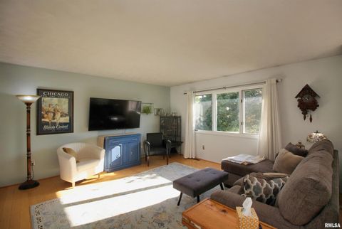 Tiny photo for 3043 17TH Street Court, East Moline, IL 61244 (MLS # QC4267893)