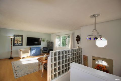 Tiny photo for 3043 17TH Street Court, East Moline, IL 61244 (MLS # QC4267893)