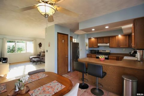 Tiny photo for 3043 17TH Street Court, East Moline, IL 61244 (MLS # QC4267893)