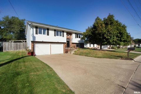 Tiny photo for 3043 17TH Street Court, East Moline, IL 61244 (MLS # QC4267893)