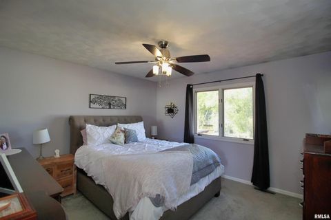 Tiny photo for 3043 17TH Street Court, East Moline, IL 61244 (MLS # QC4267893)