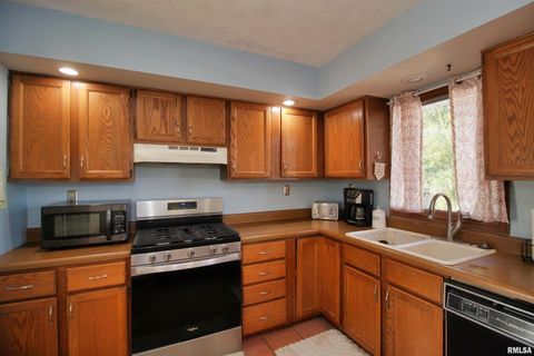 Tiny photo for 3043 17TH Street Court, East Moline, IL 61244 (MLS # QC4267893)