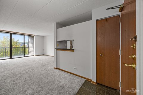 Tiny photo for 75 Kristin Circle #310, Schaumburg, IL 60195 (MLS # 12483023)