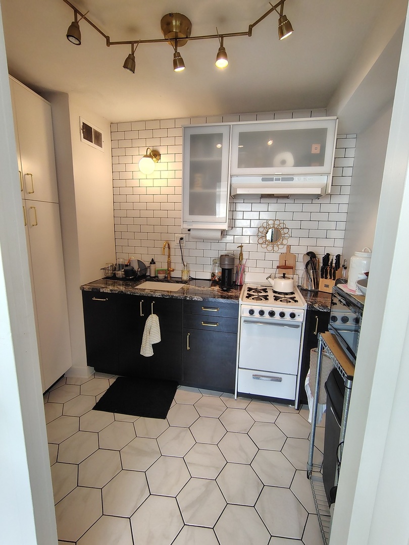 1150 N LAKE SHORE Drive 6L