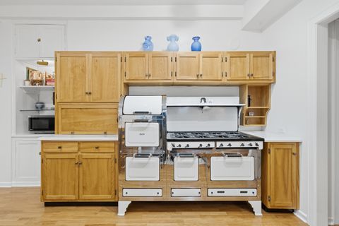 Tiny photo for 232 E Walton Place #3E, Chicago, IL 60611 (MLS # 12624126)