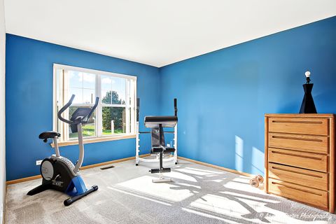 Tiny photo for 2810 Cattail Court #B, Wauconda, IL 60084 (MLS # 12484490)