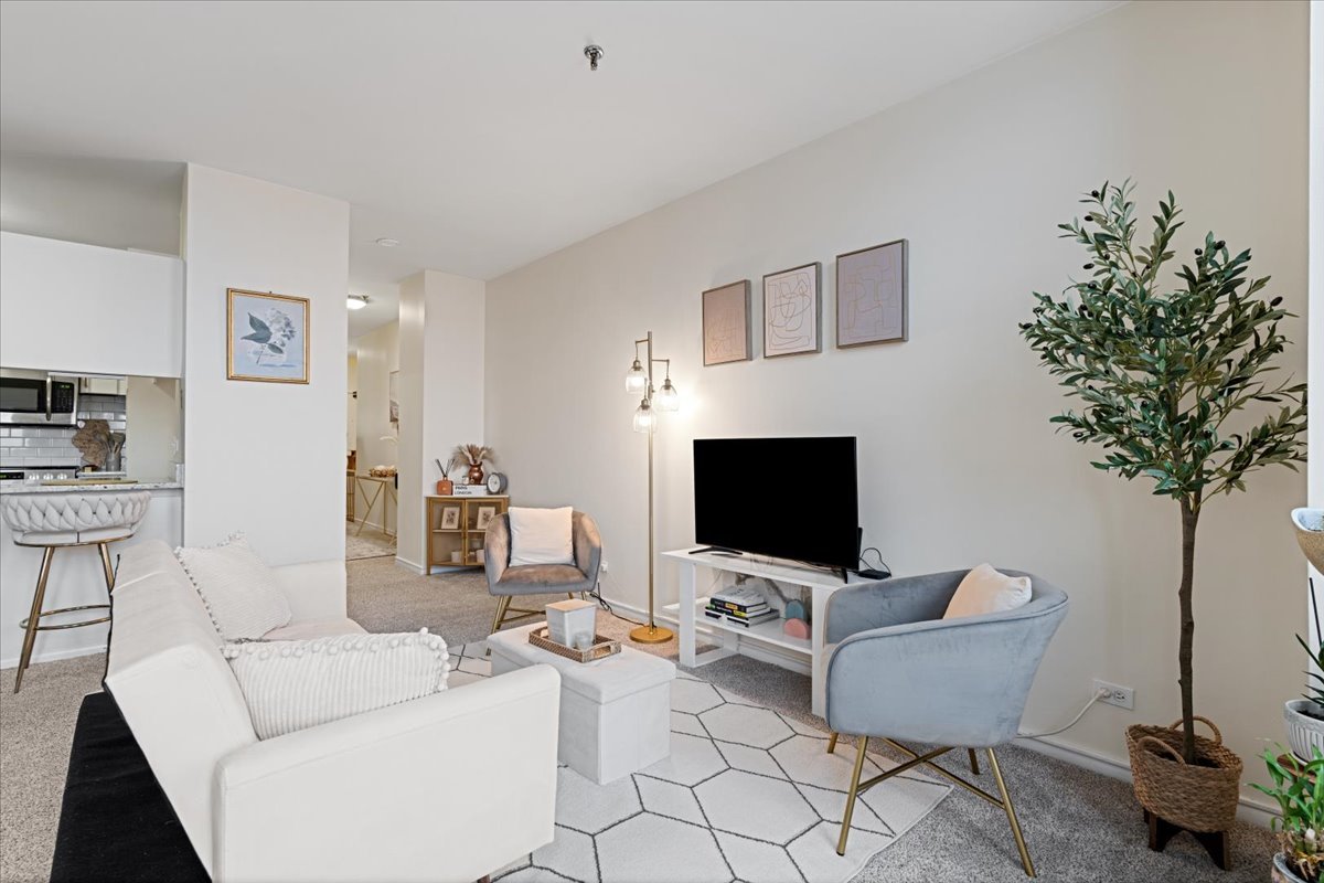 780 S FEDERAL Street 709