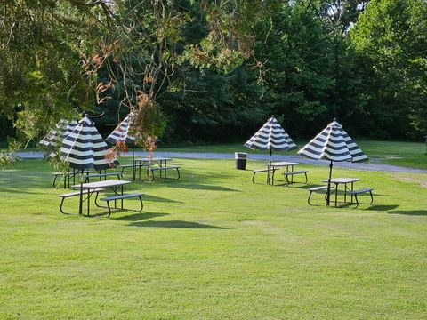 Tiny photo for 8193 Old Highway 13 Highway, Murphysboro, IL 62966 (MLS # 12578240)