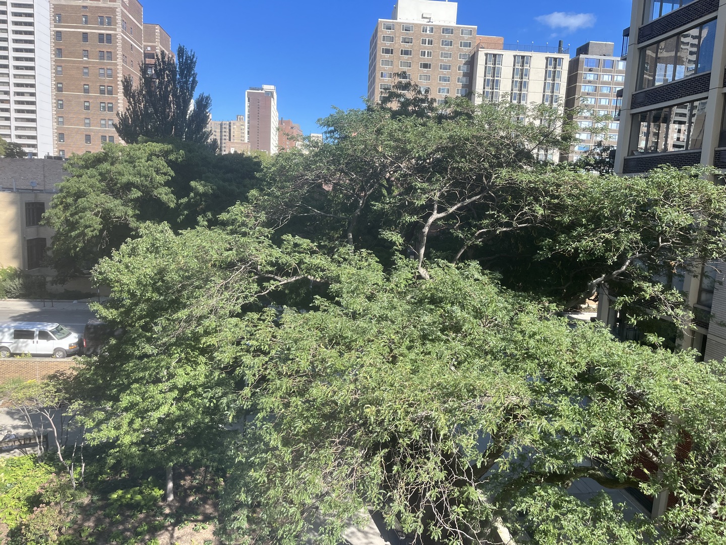 Chicago, Illinois 60610, United States, 2 Bedrooms Bedrooms, ,2 BathroomsBathrooms,Residential,Active,219687