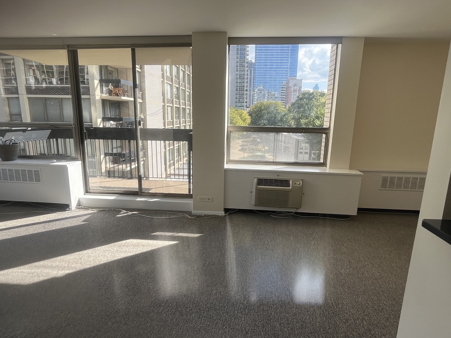 1360 N Sandburg Terrace 401C