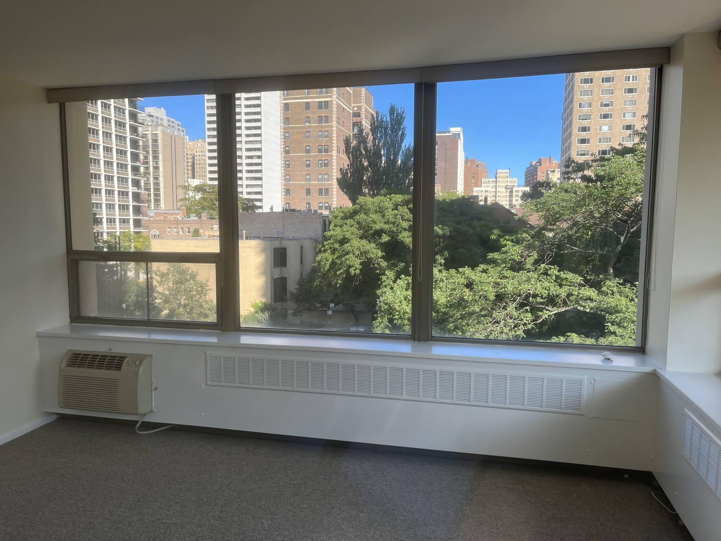 1360 N Sandburg Terrace 401C