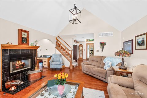 Tiny photo for 1011 Erins Glen Drive, Joliet, IL 60431 (MLS # 12691515)