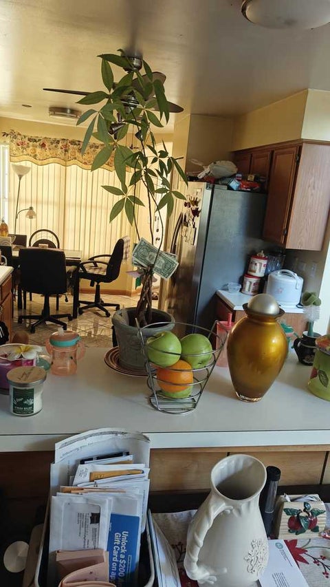 Tiny photo for 8904 W HEATHWOOD Circle #8904, Niles, IL 60714 (MLS # 12754321)