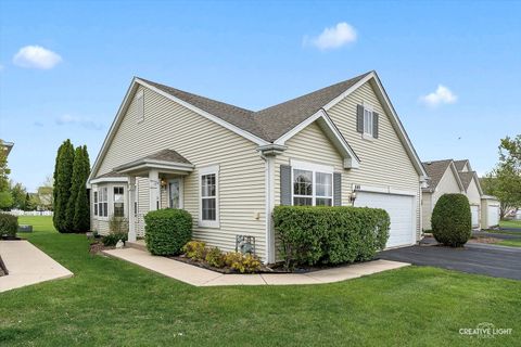 645 Chestnut Ridge Minooka IL 60447