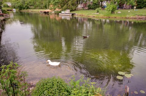 Tiny photo for 195 Fossil Cove Lane, Wilmington, IL 60481 (MLS # 12375623)