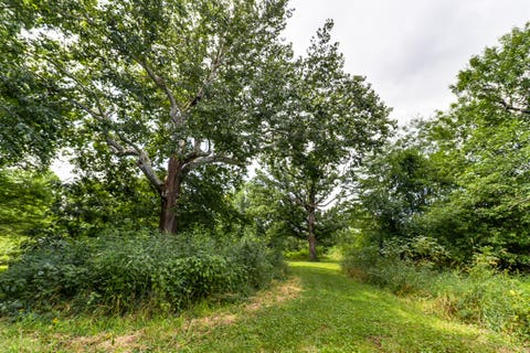 Tiny photo for 7429 N 1900 East Road, Bloomington, IL 61705 (MLS # 12704946)