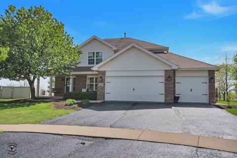 Photo of 24518 Shawnee Lane, Manhattan, IL 60442 (MLS # 12634188)