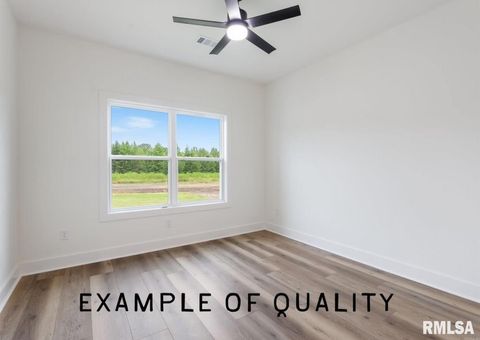 Tiny photo for 12195 Blue Sky Drive, Marion, IL 62959 (MLS # QC4267093)