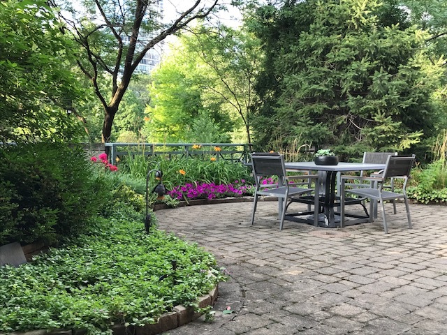 55 W Delaware Place 221