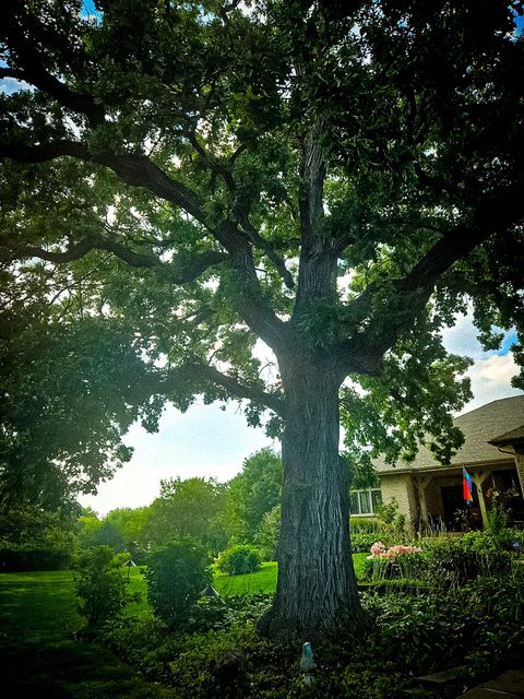 Tiny photo for 1608 Breezy Lawn Road, Spring Grove, IL 60081 (MLS # 12444188)