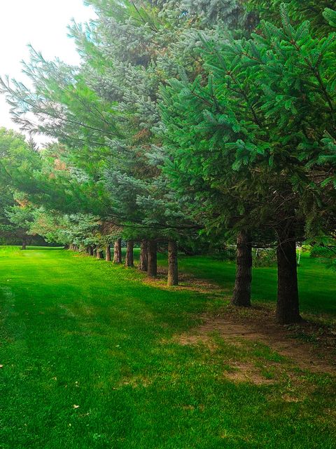 Tiny photo for 1608 Breezy Lawn Road, Spring Grove, IL 60081 (MLS # 12444188)