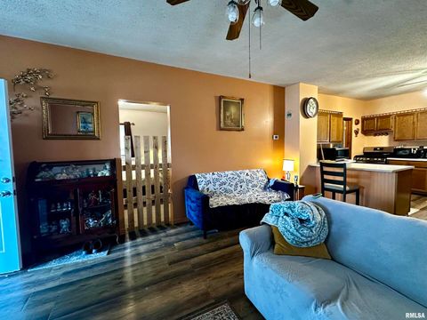 Tiny photo for 305 W LINCOLN Street, Harrisburg, IL 62946 (MLS # QC4267159)